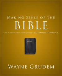 bokomslag Making Sense Of The Bible