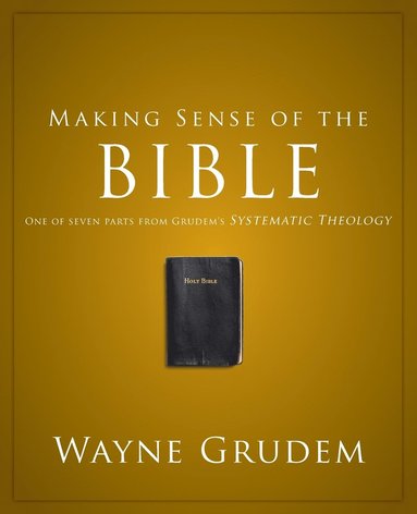 bokomslag Making Sense of the Bible