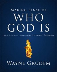 bokomslag Making Sense Of Who God Is