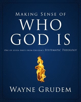 bokomslag Making Sense of Who God Is