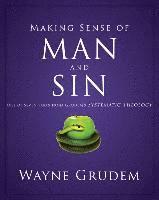 bokomslag Making Sense Of Man And Sin