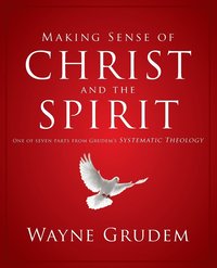 bokomslag Making Sense Of Christ And The Spirit