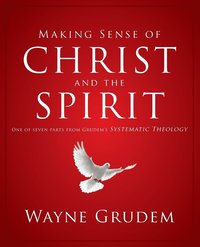 bokomslag Making Sense of Christ and the Spirit