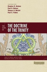 bokomslag Two Views on the Doctrine of the Trinity