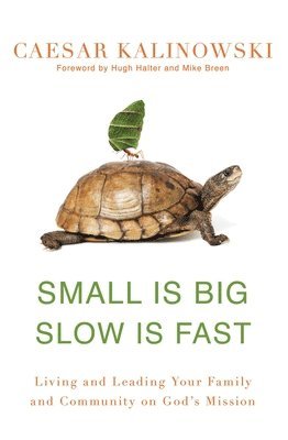 bokomslag Small Is Big, Slow Is Fast