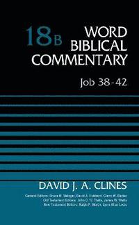 bokomslag Job 38-42, Volume 18B
