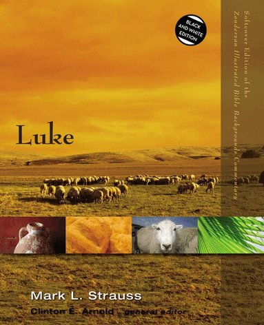 Mark L. Strauss, Clinton E. Arnold, Clinton E Arnold - Luke, Häftad