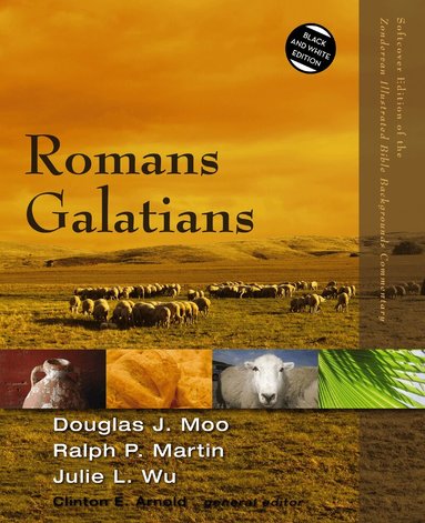 Douglas  J. Moo, Ralph P. Martin, Julie Wu - Romans, Galatians, Häftad