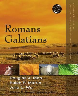 bokomslag Romans, Galatians