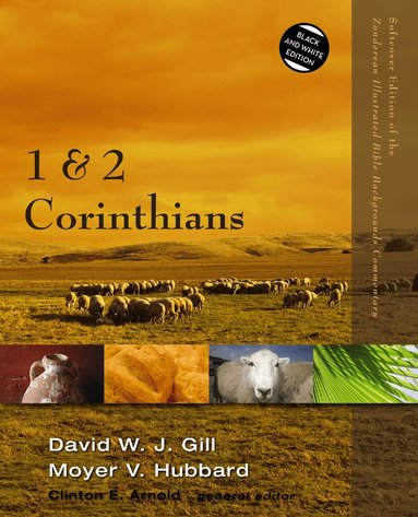 David W. J. Gill, Moyer V. Hubbard, Clinton E. Arnold - 1 and 2 Corinthians, Häftad