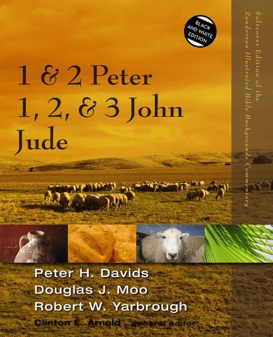 Peter H. Davids, Douglas  J. Moo, Robert Yarbrough - 1 and 2 Peter, Jude, 1, 2, and 3 John, Häftad