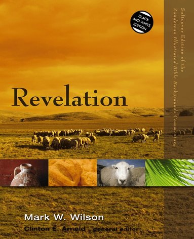 Mark W. Wilson, Clinton E. Arnold - Revelation, Häftad