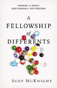 bokomslag Fellowship of Differents