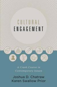bokomslag Cultural Engagement