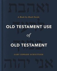 bokomslag Old Testament Use of Old Testament
