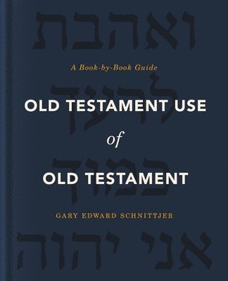 bokomslag Old Testament Use of Old Testament