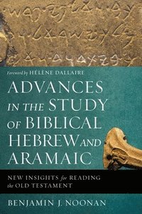 bokomslag Advances in the Study of Biblical Hebrew and Aramaic