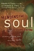 bokomslag Mending the Soul