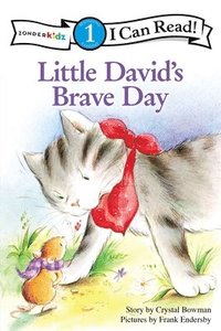 bokomslag Little David's Brave Day
