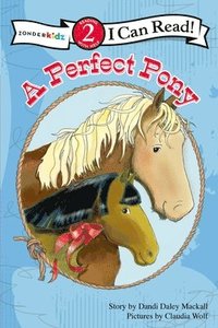 bokomslag A Perfect Pony