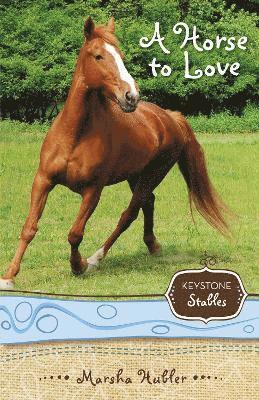 Marsha Hubler - Horse to Love, Häftad