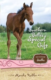 bokomslag Southern Belle's Special Gift