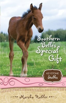 Marsha Hubler - Southern Belle's Special Gift, Häftad