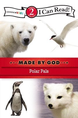 Polar Pals
