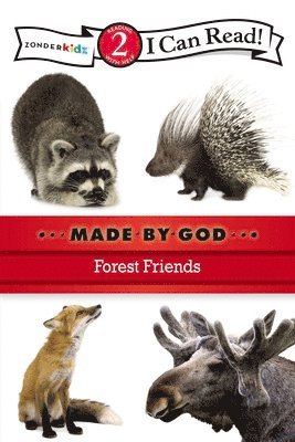 Forest Friends 1