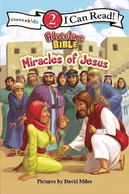 bokomslag Miracles of Jesus