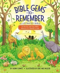 bokomslag Bible Gems to Remember Illustrated Bible