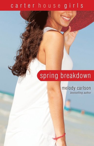bokomslag Spring Breakdown
