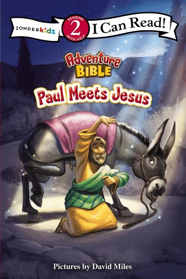 Zondervan Publishing - Paul Meets Jesus, Häftad
