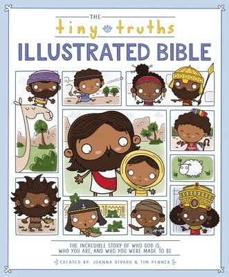 bokomslag Tiny Truths Illustrated Bible