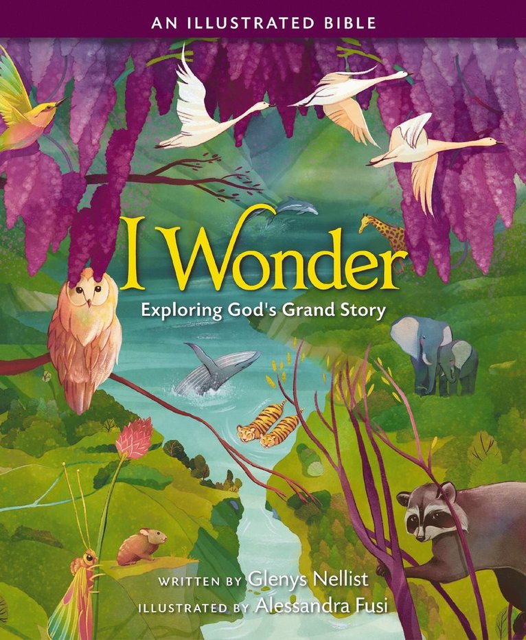 Glenys Nellist - I Wonder: Exploring God's Grand Story, Inbunden