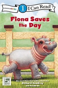 bokomslag Fiona Saves The Day