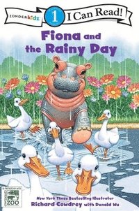 bokomslag Fiona And The Rainy Day