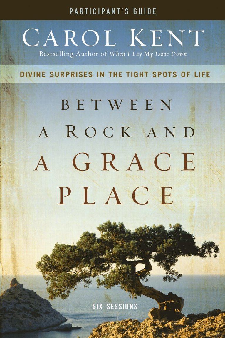 Between a Rock and a Grace Place Bible Study Participant's Guide 1