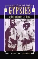 bokomslag A History of the Gypsies of Eastern Europe and Russia