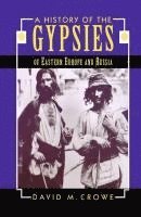 D. Crowe, David M. Crowe - History of the Gypsies of Eastern Europe and Russia, Inbunden