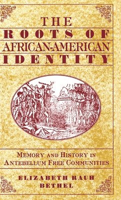 bokomslag The Roots of African-American Identity