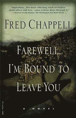 bokomslag Farewell, I'm Bound to Leave You: Stories