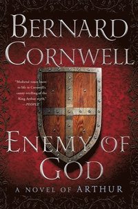 bokomslag Enemy of God