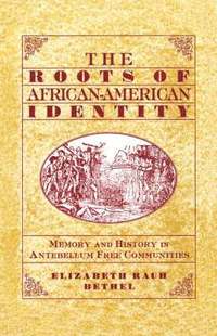 bokomslag The Roots of African-American Identity