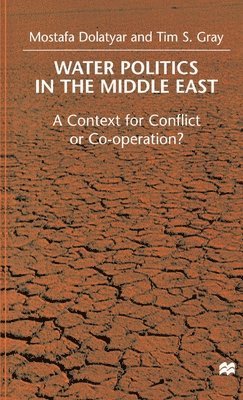 bokomslag Water Politics in the Middle East