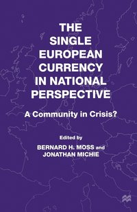 bokomslag The Single European Currency in National Perspective