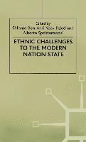 bokomslag Ethnic Challenges To the Modern Nation State