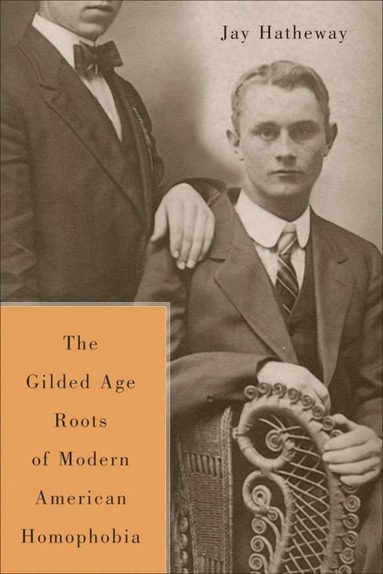 bokomslag Gilded Age Construction of Modern American Homophobia