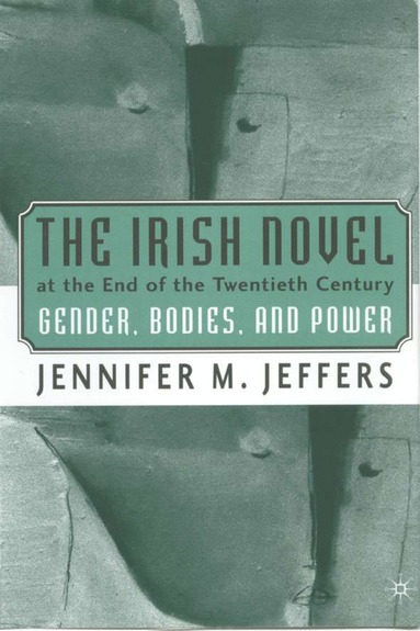 bokomslag Irish Novel at the End of the Twentieth Century