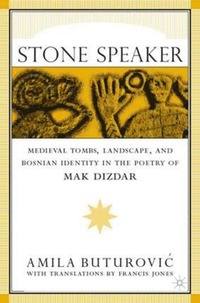 bokomslag Stone Speaker